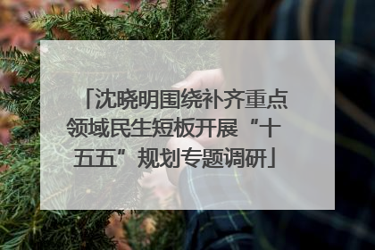 沈晓明围绕补齐重点领域民生短板开展“十五五”规划专题调研